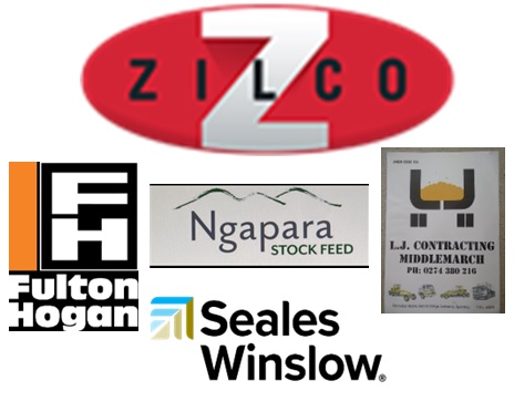 Sponsor